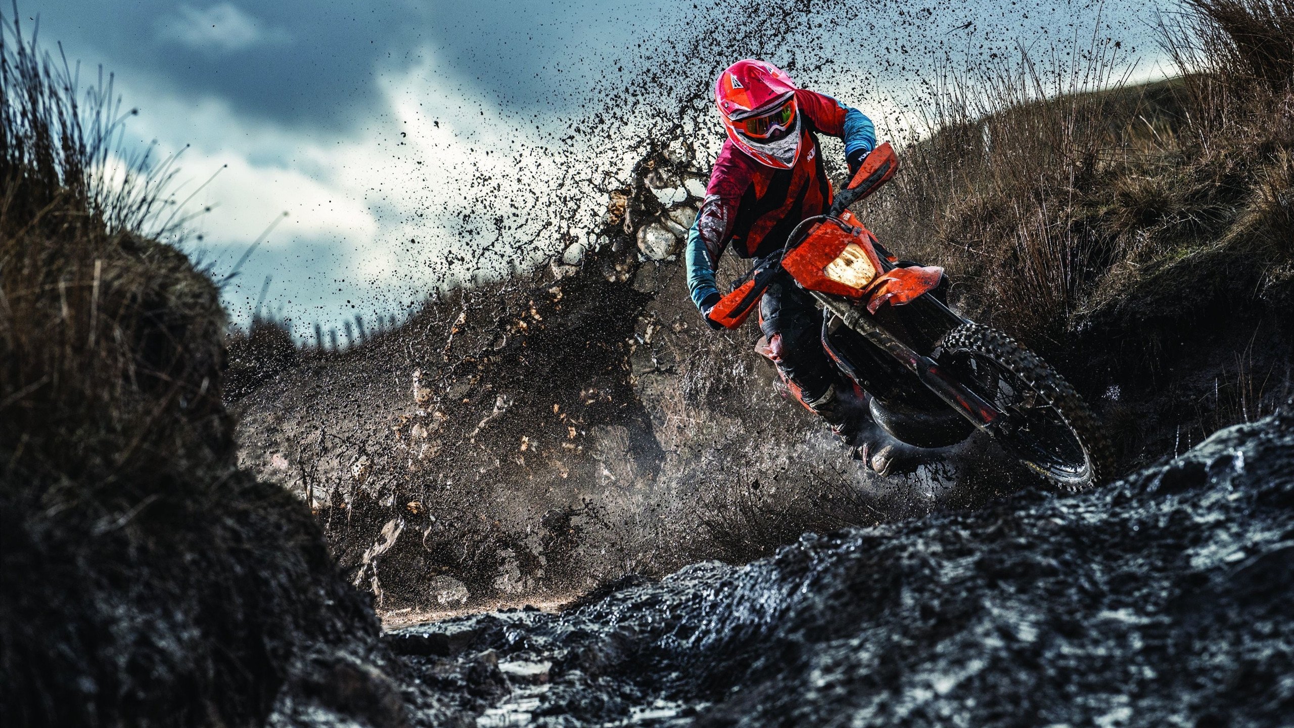 浙江队包揽2024全国高尔夫锦标赛男女团体冠军,浙江 高尔夫